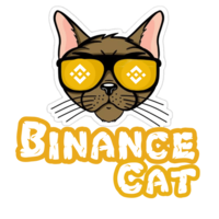 Binance CAT