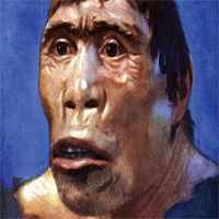 Pithecanthropus Erectus