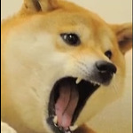 Elons Doge Machine