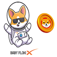 Baby FlokiX