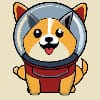 DogeUchuuhikoushi (宇宙飛行士)