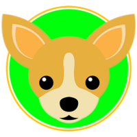 Chihuahua Grow