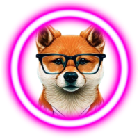 AnimeX FLOKI CEO