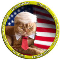 BasedTrumpCat