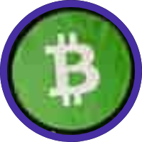 Bitcoin Cash (Wormhole)
