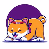 Baby Shiba Boom