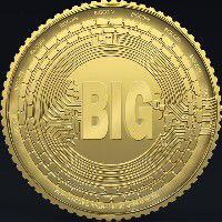BIGCOIN Official BSC