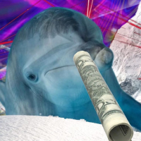Dolphin on coke