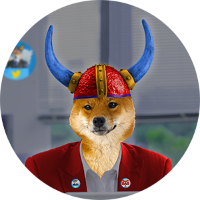 Floki CFO