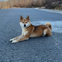 malcoin