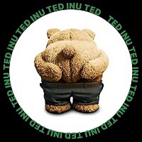 TED Inu