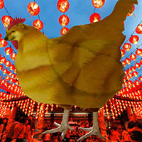 ChineseChickenCheems