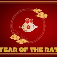 Year Of The Rat