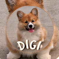 DIGI