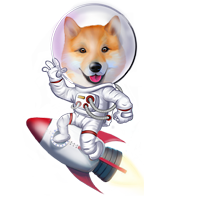 Shiba Star