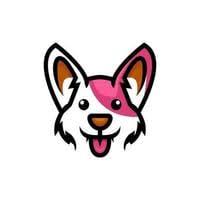 cryptogamer