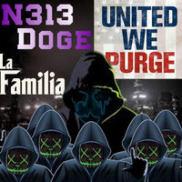 N313Doge