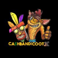CashBandicootX