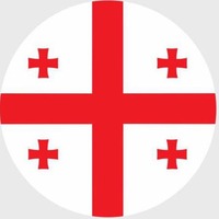 Georgia Coin