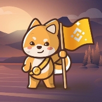 Capture The Doge