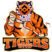 BNBTiger