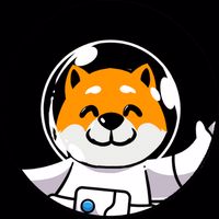 Shiba Zuna