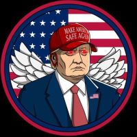 Make America Safe Again