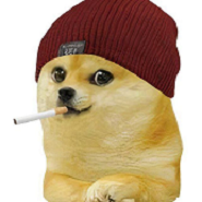 Smokin Inu BSC