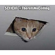 Ceiling Cat