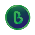 Bolic AI