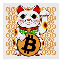 Bitcoin Cat On sol