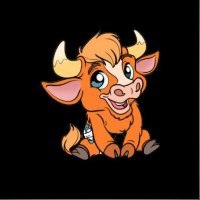 Babybullrun