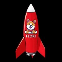Floki Rocket