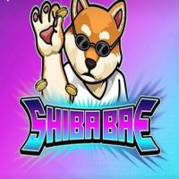 SHIBABAE TOKEN