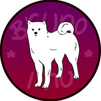 Bruno Inu