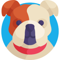 BullDogGo