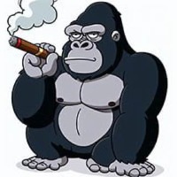 Kong
