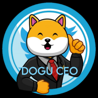 DOGU CEO