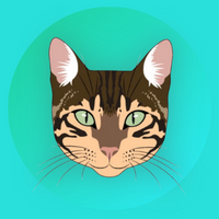Bengal CatCoin