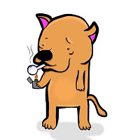 CRACKI COIN