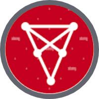 Chiliz Network Token