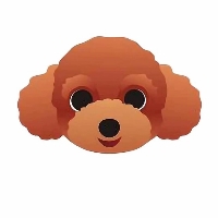 TEDDY DOG COIN