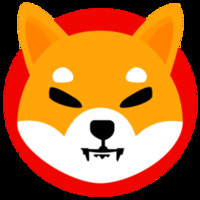 bridged shiba