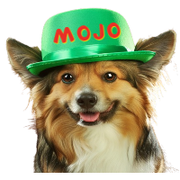 Mojo Wif hat