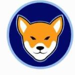 Floki Dogefather