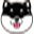 BLACK SHIBA INU