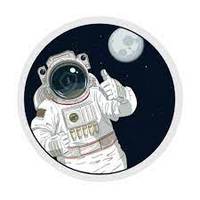 Safemoon Pro