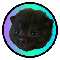 The ITTY BITTY KITTY