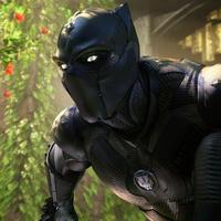 DogeWakanda