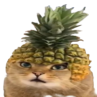 Cat Wif Pineapple